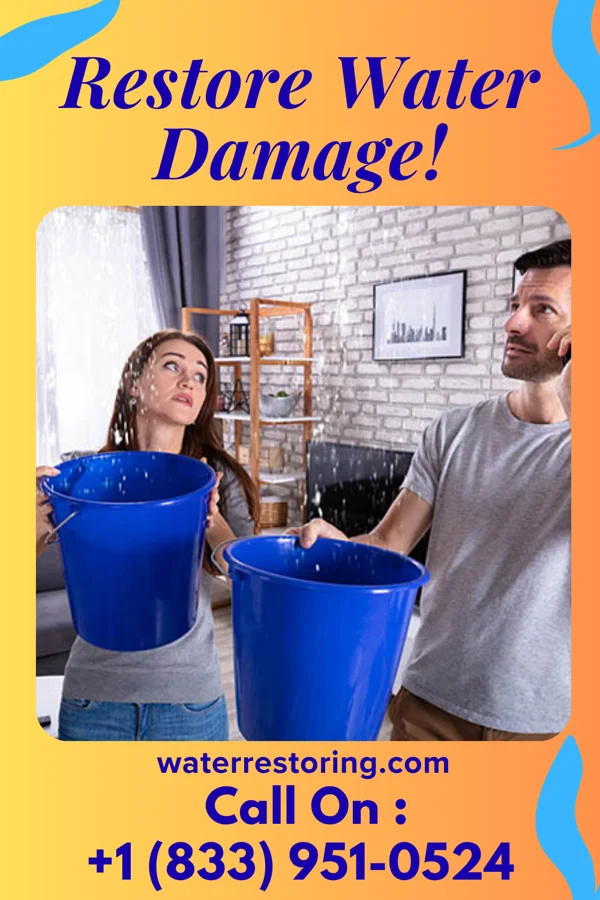 water restoration Platinum Water Mitigation Authority Wilson-Conococheague