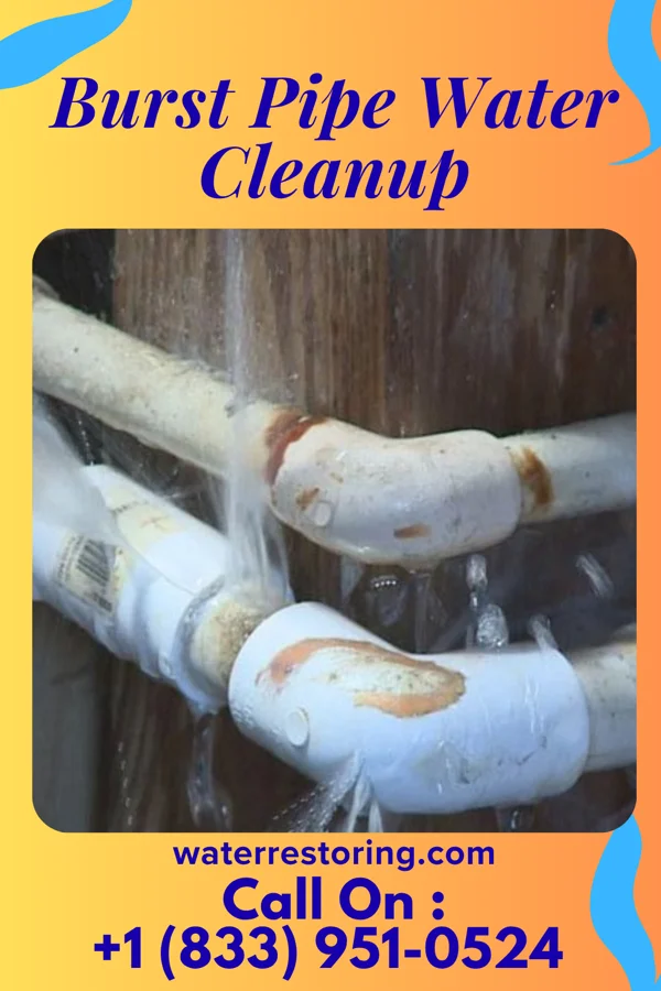 Burst Pipe Water Cleanup in Wilson-Conococheague, MD