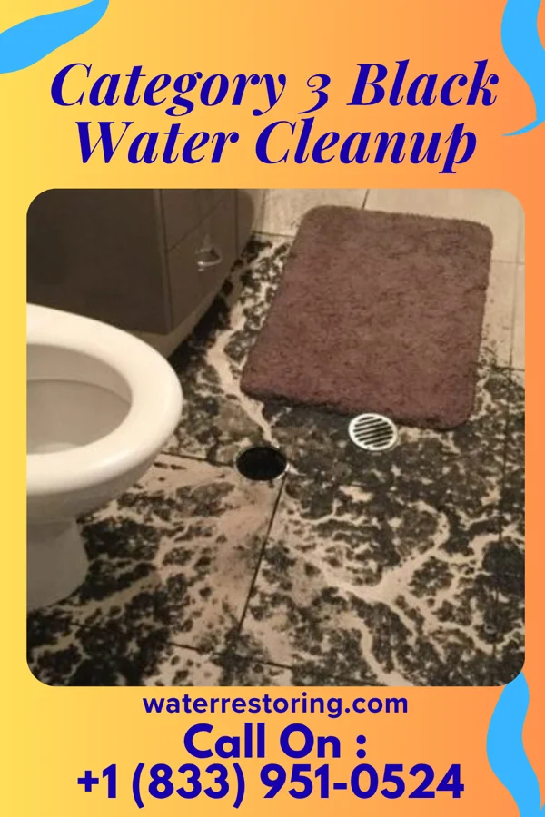Category 3 Black Water Cleanup in Wilson-Conococheague, MD