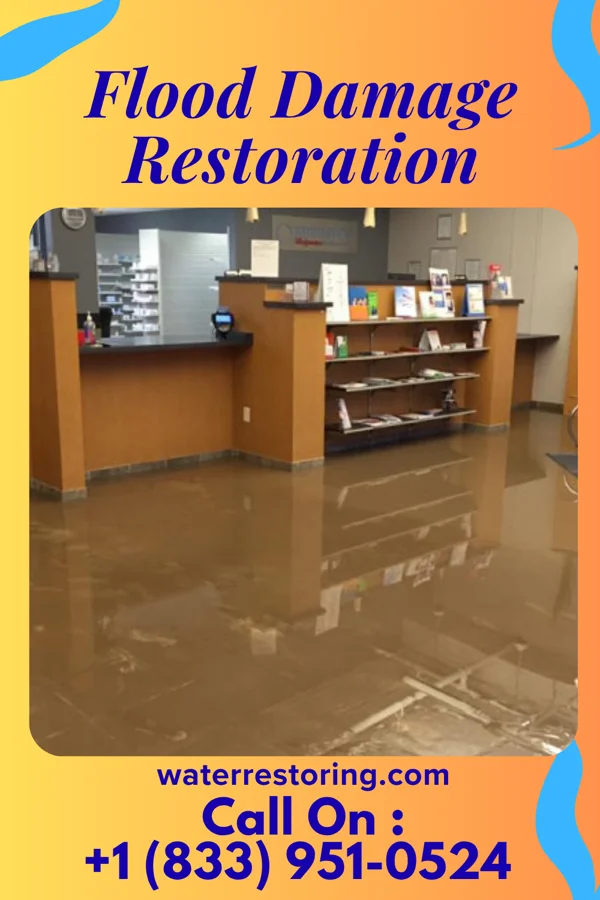 Flood Damage Restoration in Wilson-Conococheague, MD