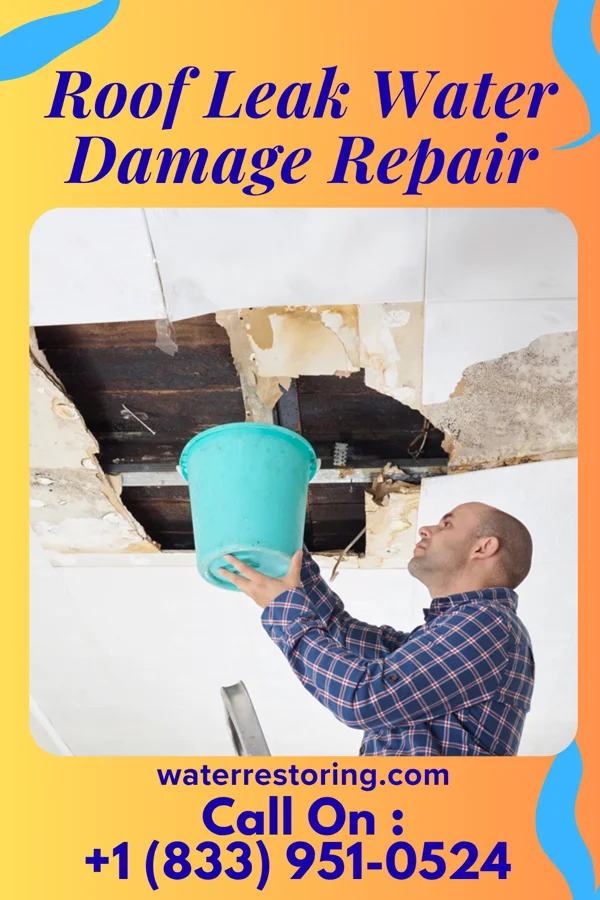Roof Leak Water Damage Repair in Wilson-Conococheague, MD