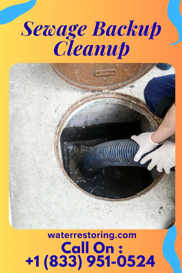 Sewage Backup Cleanup in Wilson-Conococheague, MD