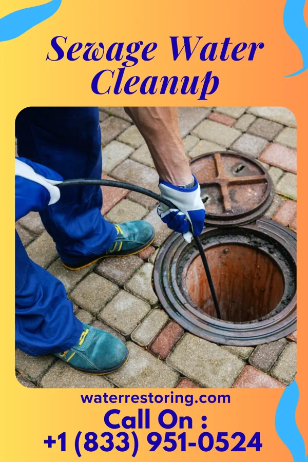Sewage Water Cleanup in Wilson-Conococheague, MD
