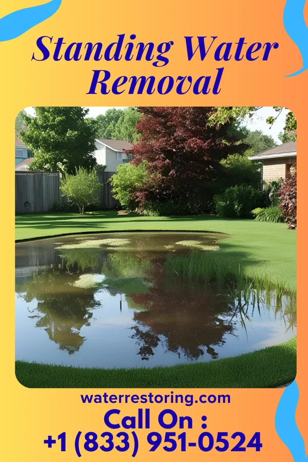 Standing Water Removal in Wilson-Conococheague, MD
